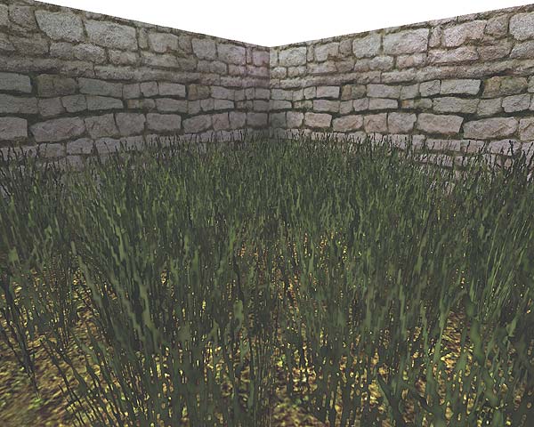 Grass