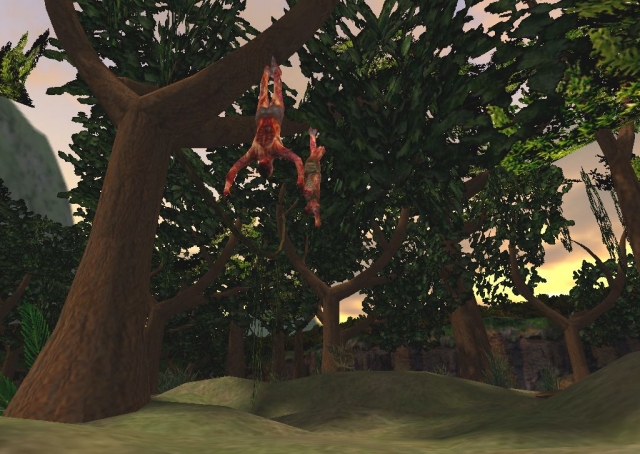 Jungle