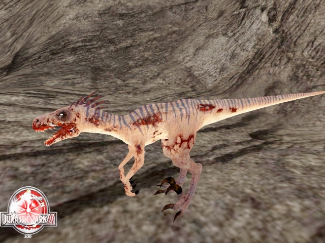 Screenshot 41