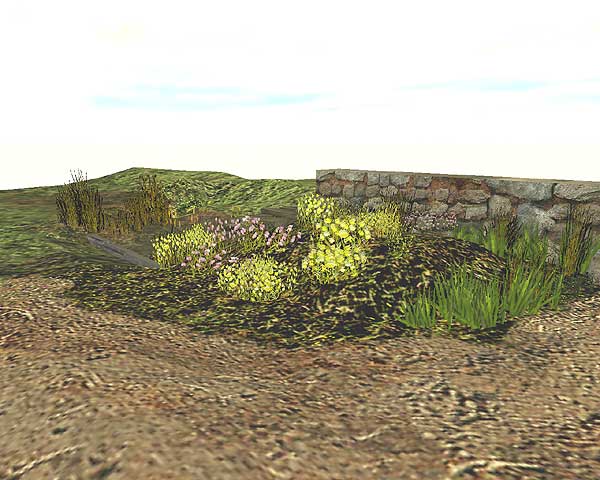 test_plants