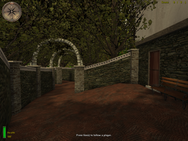 Remagen Alley Fight