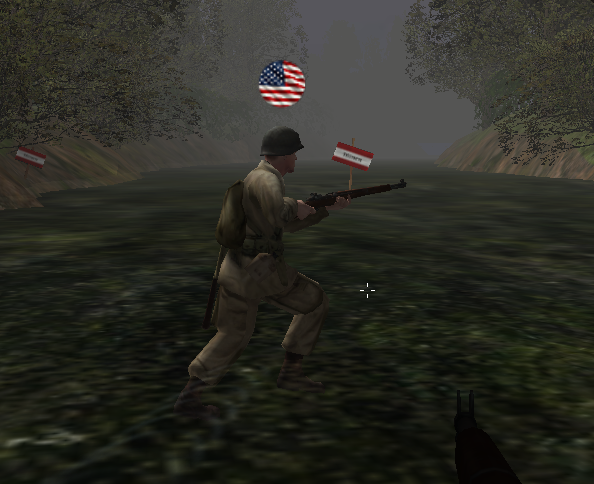 Allies American Flag Waving Avatar