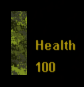 Army Health Bar