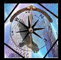 Bird Compass