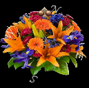 Flower Compasses