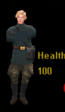 Loretta Long Health Meter