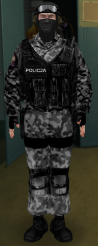 allied_Polish_SPAP_assaulter_1