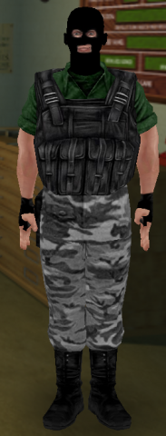 axis_terrorist_phoenix_connexion