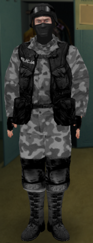 allied_polish_counter-terrorist