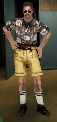 allied_the_tourist