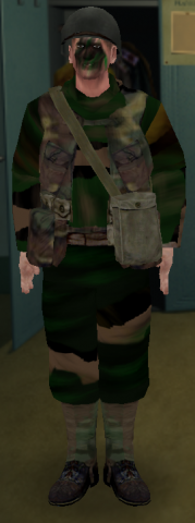 allied_usassailant