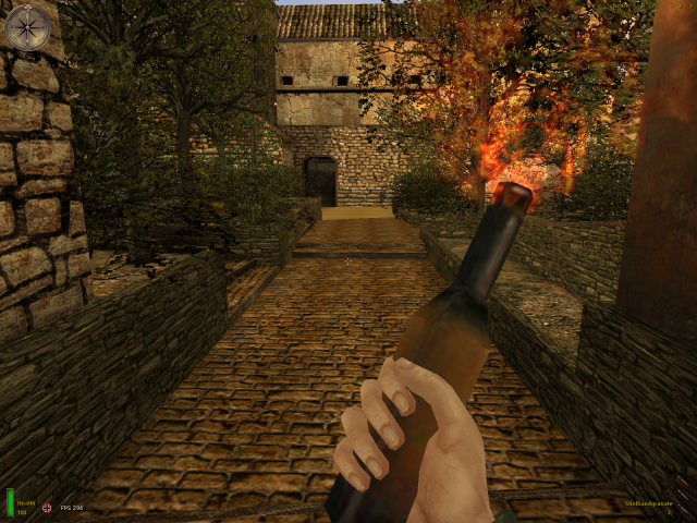 Molotov Cocktail