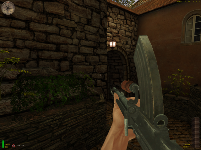 Type 96