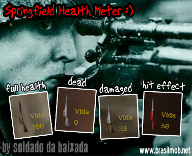 Springfield Health Meter